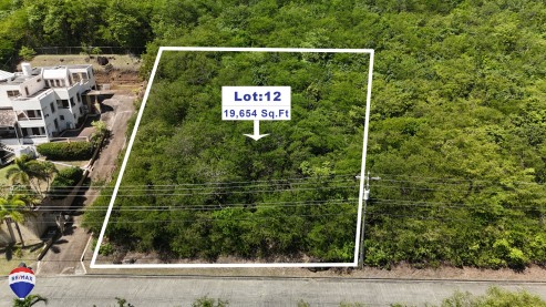 Egmont- Lot No. 12
