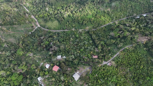 DJI_20250418160703_0105_D