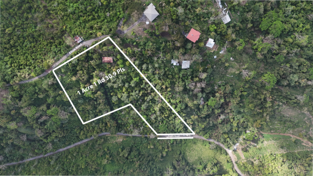 Ali  Land_. 23png (1)